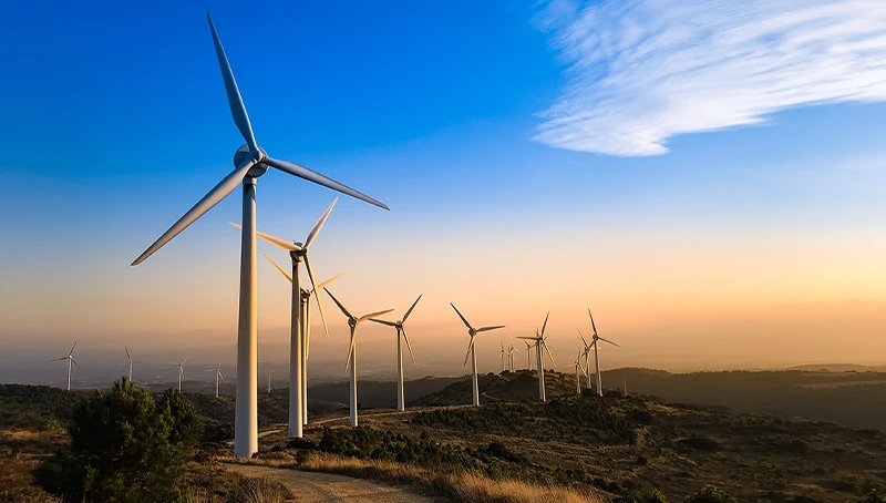 100% green electricity