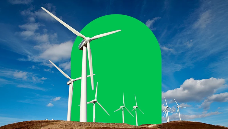 100% green electricity